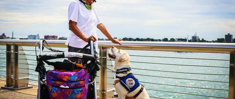 a person with a wheelchair and a service dog