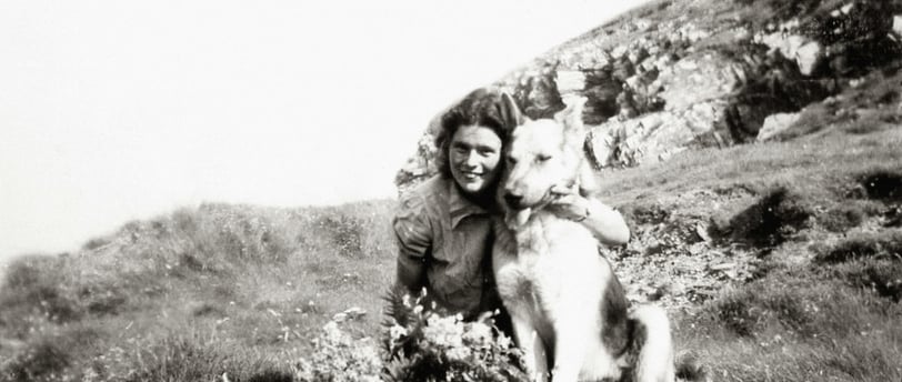 a woman is sitting on a hill with a dog