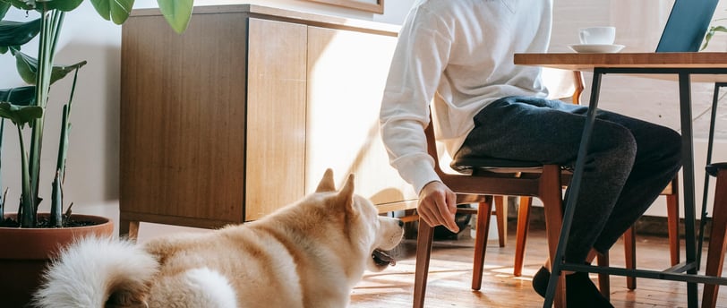 a man sitting at a table with a dog