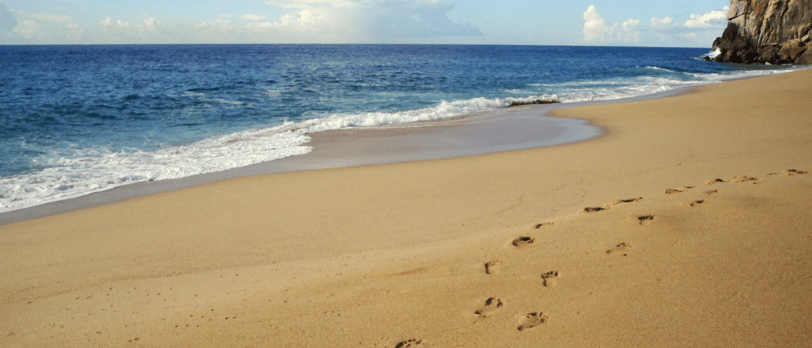 lovers beach cabo san lucas