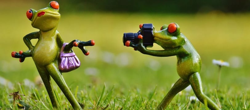 frogs-photography-princess-funny-comedy-hilarious-laugh-fun-dilsebatein-09