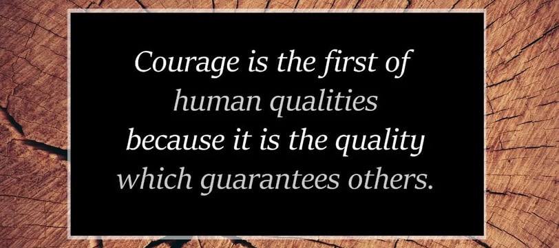 courage-is-the-first-step-of-human-qualities-because-inspirational-quotes-dilsebatein-12