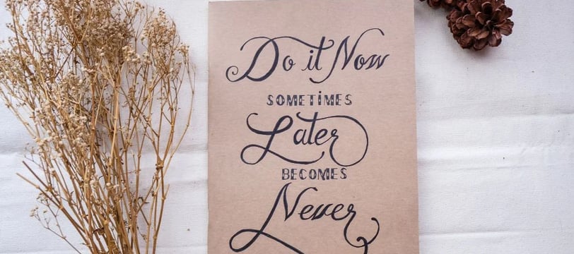 do-it-now-sometimes-later-becomes-never-inspirational-quotes-dilsebatein-13