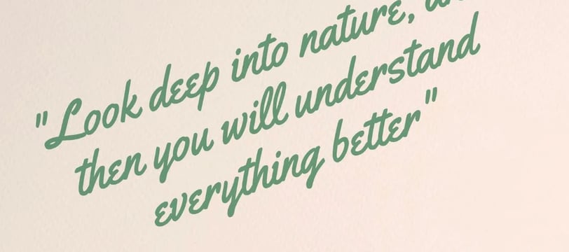 look-deep-into-nature-and-then-you-will-understand-everything-inspirational-quotes-dilsebatein-16