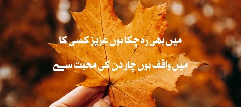 mein-bhi-reh-chuka-houn-aziz-ksi-ka-mein-waqif-houn-char-urdu-inspirational-quotes-dilsebatein-10