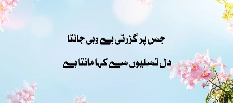 jis-par-guzarti-hai-wohi-janta-hai-dil-tasaleon-se-kahan-urdu-inspirational-quotes-dilsebatein-11