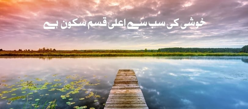 khushi-ki-sab-se-ala-qisam-sakoon-hai-urdu-inspirational-quotes-dilsebatein-17