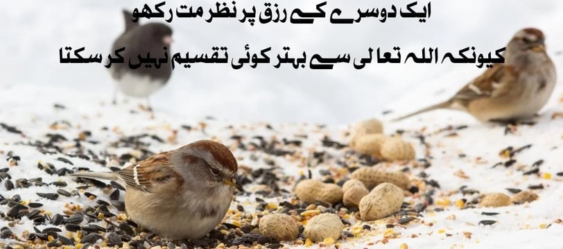 aik-dosrey-ke-rizq-par-nazar-mat-rakho-kuon-key-allah-se-urdu-inspirational-quotes-dilsebatein-21