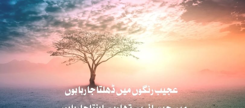 ajeeb-rungon-mein-dhalta-ja-raha-houn-mein-jaisa-nahe-tha-urdu-inspirational-quotes-dilsebatein-26