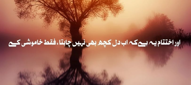 ikhtataam-yeh-hai-ke-abh-dil-kuch-bhi-nahe-chahta-faqat-urdu-inspirational-quotes-dilsebatein-29