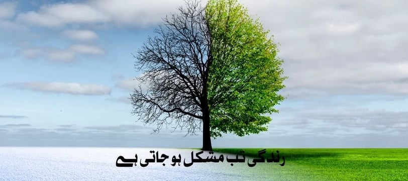 zindagi-tab-mushkil-ho-jati-hai-jab-aap-jeena-na-chaho-urdu-inspirational-quotes-dilsebatein-36