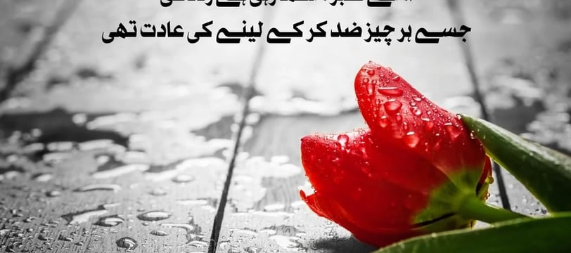 usey-sabr-sikha-rahi-hai-zindagi-jisey-har-cheiz-zid-kar-ke-urdu-inspirational-quotes-dilsebatein-49