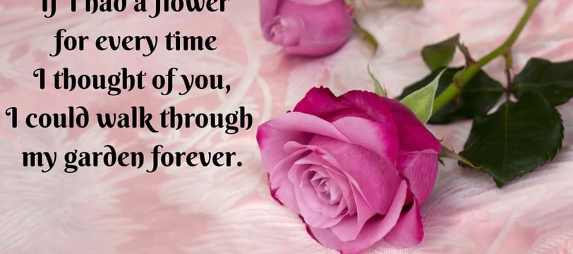 if-i-had-a-flower-for-every-time-i-thought-of-you-i-could-walk-through-my-love-quotes-dilsebatein-25