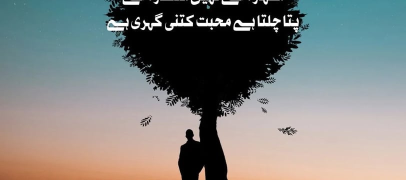 izhar-se-nahe-intazar-se-pata-chalta-hai-mohabat-kitni-gehri-hai-urdu-love-quotes-dilsebatein-01