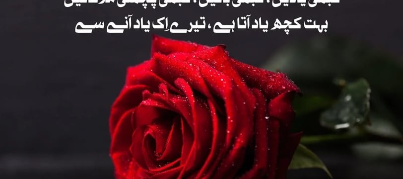 kabhi-yaadein-kabhi-batein-kabhi-pechli-mulaqatein-bohat-kuch-yaad-urdu-love-quotes-dilsebatein-03