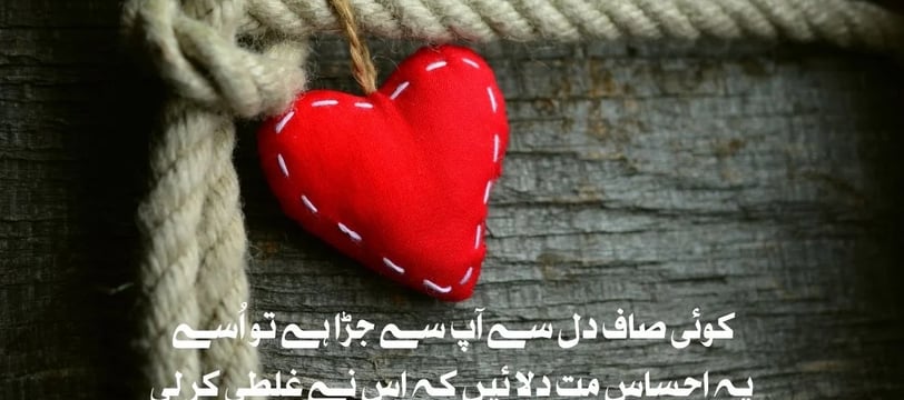 koi-saaf-dil-se-aap-se-jura-hai-tu-usey-yeh-ehsas-mat-delaein-keh-is-urdu-love-quotes-dilsebatein-04