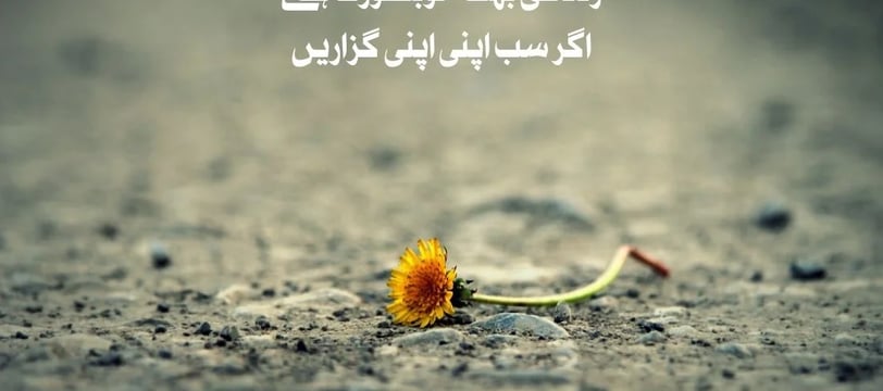 zindagi-bohat-khobsurat-hai-agar-sab-apni-apni-guzarein-urdu-love-quotes-dilsebatein-18