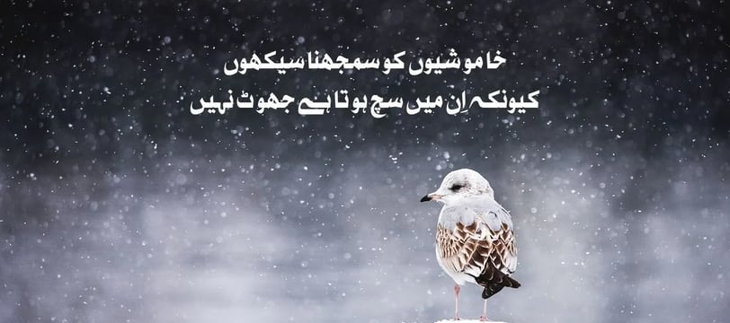 khamoshion-ko-samajhna-sekho-kuon-ke-in-mein-sach-hota-hai-jhot-nahe-urdu-love-quotes-dilsebatein-22