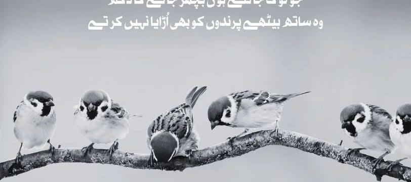 jo-log-jante-houn-bichar-janey-ka-dukh-woh-sath-bethe-parindo-ko-bhi-urdu-love-quotes-dilsebatein-33