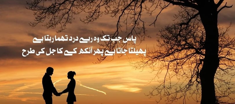 pass-jab-tak-woh-rahe-dard-thama-rehta-hai-pehlta-jata-hai-phir-ankh-urdu-love-quotes-dilsebatein-35