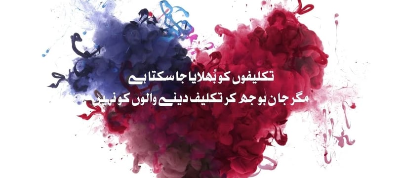 takleefon-ko-bhulaya-ja-sakta-hai-magar-jaan-boojh-kar-takleef-dene-urdu-love-quotes-dilsebatein-43