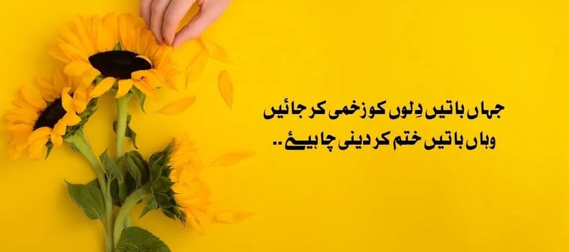 jahan-batein-dilon-ko-zakhmi-kar-jaein-wahan-batein-khatam-kar-deni-urdu-love-quotes-dilsebatein-45