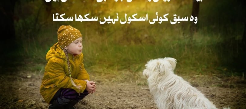 beshak-guzarti-zindagi-jo-sabaq-sekhati-hein-woh-sabaq-koi-motivational-quotes-urdu-dilsebatein-05