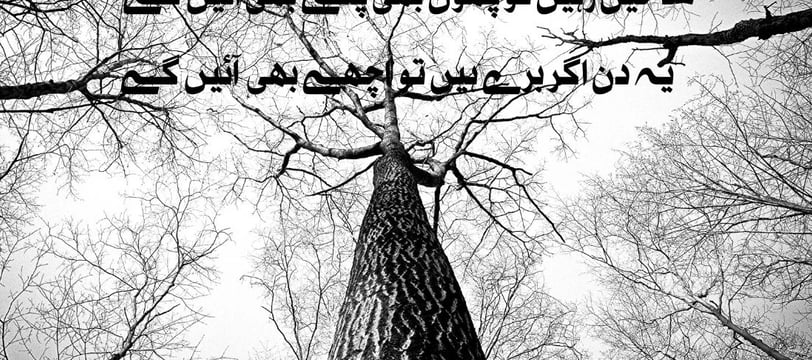 shakhein-rahein-tu-phool-bhi-pattey-bhi-aein-ge-urdu-motivational-quotes-dilsebatein-09