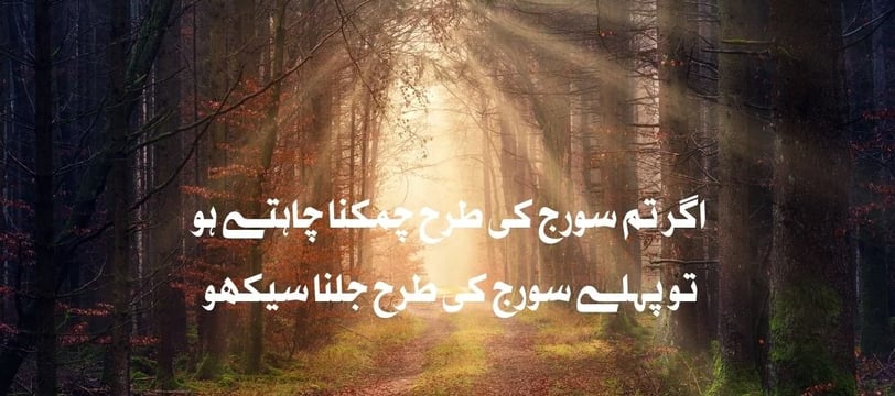 agar-tum-suraj-ki-tarha-chamakna-chahtey-ho-tu-pehle-suraj-urdu-motivational-quotes-dilsebatein-10