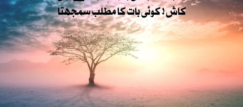 sab-matlab-ki-baat-samjhtey-hein-kash-koi-baat-ka-matlab-motivational-quotes-urdu-dilsebatein-20