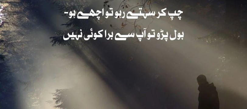 chup-kar-sehtey-raho-tu-ache-ho-bol-paro-tu-aap-se-bura-koi-urdu-motivational-quotes-dilsebatein-27