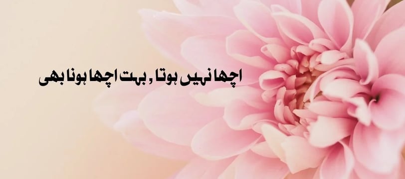 acha-nahe-hota-bohat-acha-hona-bhi-urdu-motivational-quotes-dilsebatein-35