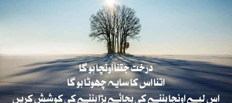 darakht-jitna-oncha-ho-gah-itna-is-ka-saya-chota-ho-gah-is-urdu-motivational-quotes-dilsebatein-45