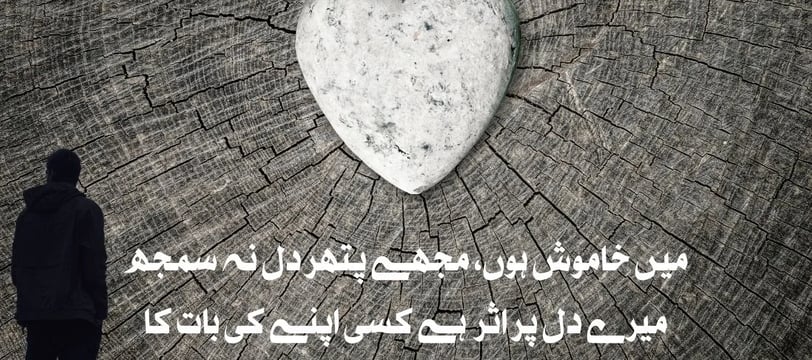 mein-khamosh-houn-mujhe-pathar-dil-na-samajh-mere-dil-par-urdu-motivational-quotes-dilsebatein-49