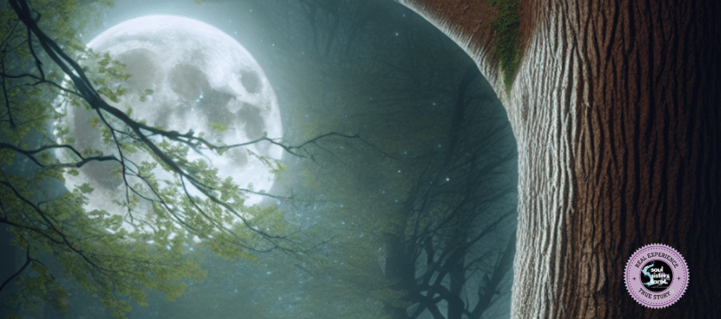 Sturgeon Moon Ritual Soul Sisters Tarot