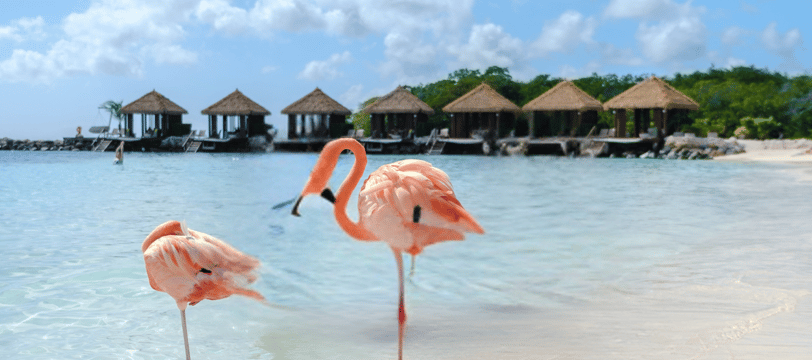 MANCHEBO BEACH ARUBA