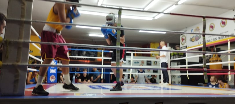 peleadores boxeo en el ring