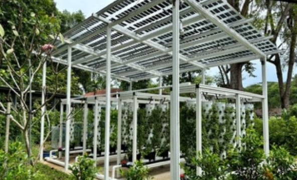 Agrivoltaics Vertical Farming