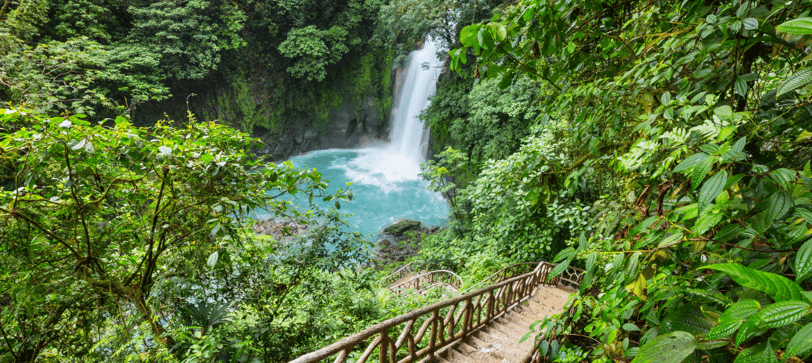 descendo a cachoeira em veragua rainforest costa rica