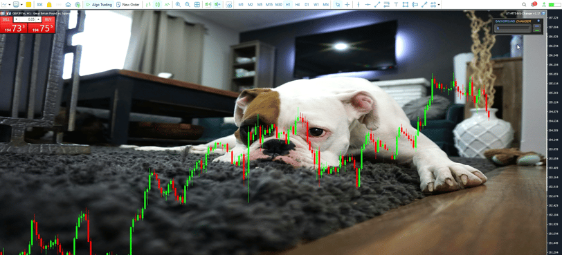 How to change MetaTrader 5 (MT5) background or wallpaper with image