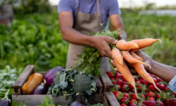 intérim agriculture