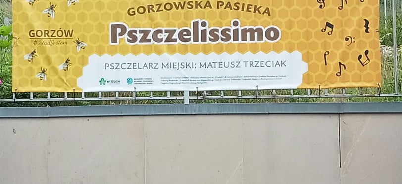 Pasieka Miejska Pszczelissimo za Filharmonią Gorzowską
