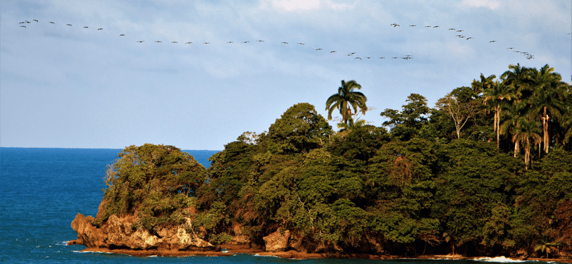 isla uvita ilha quiribri costa rica