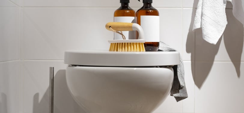 toilet cleaning
