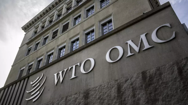 the WTO referees global trade IB Economics