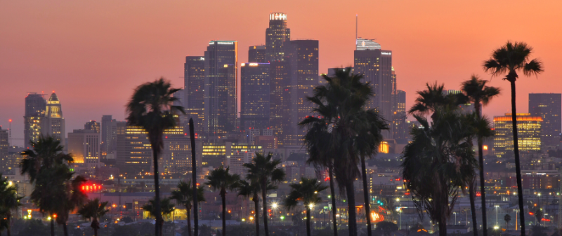 palmen und die skyline von los angeles