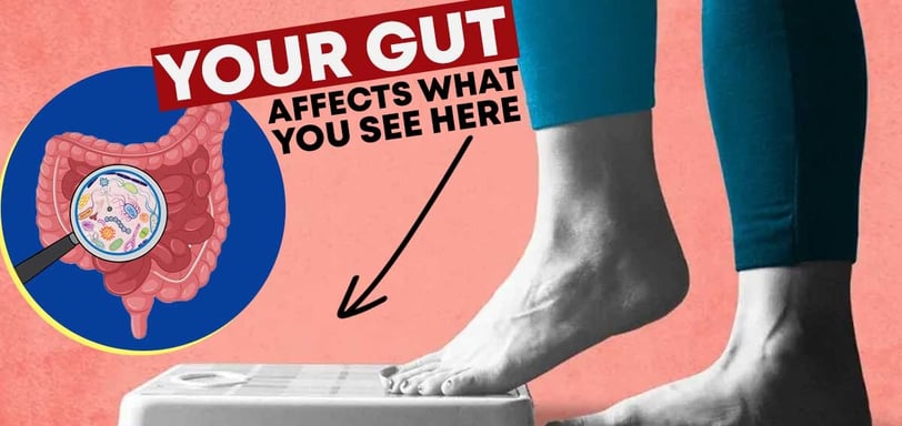 Gut health and weight loss