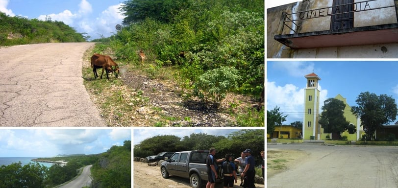 Fotos da autora durante o passeio pela rota cênica de Kralendijk a Rincon em Bonaire