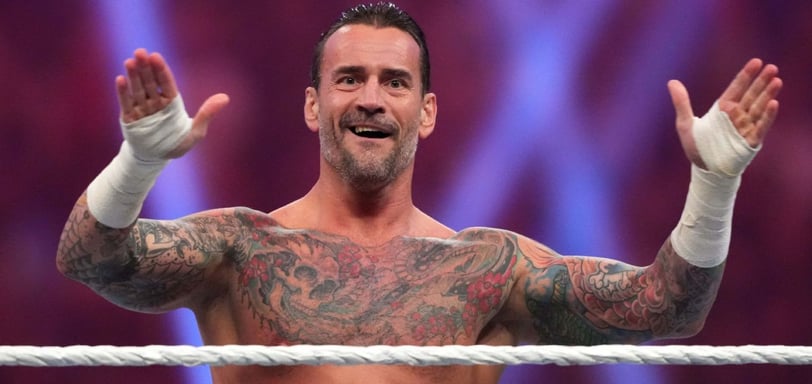 cm punk dichiarazioni