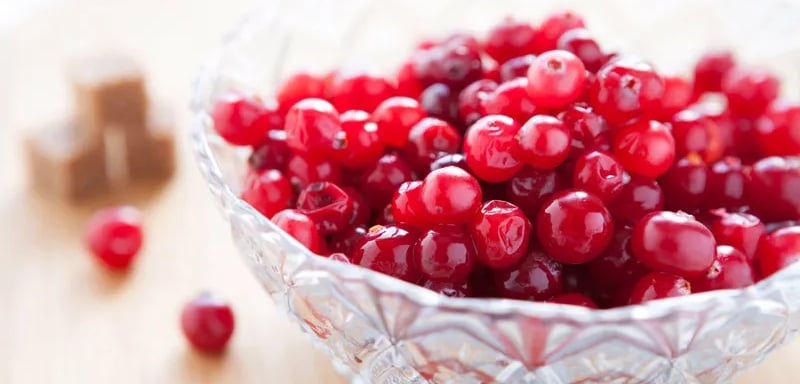 Cranberry em Capsulas: Quais os benefícios